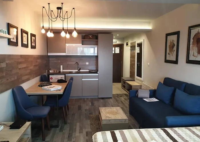 公寓 Milmari Premier40 科帕奥尼克